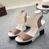 New Fashion Luxury SandalsShoesmainimage42020new-Fashion-Wedge-Women-Shoes-Casual-Belt-Buckle-High-Heel-Shoes-Fish-Mouth-Sandals-2020-Luxury