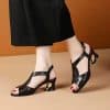 Women’s New Fashion Fish Mouth SandalsSandalsvariantimage0Fish-Mouth-Sandals-Women-2022-Summer-New-All-match-Medium-heeled-Thick-heeled-Women-s-Shoes