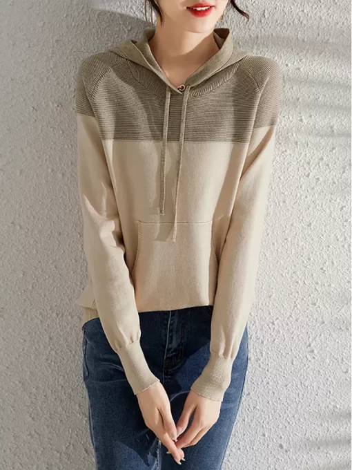 Ladies Autumn Winter Hooded Knitted Loose Sweater Women Pullover Tops Long Sleeve O Neck Casual Streetwear.jpg 2