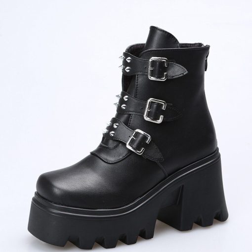 main image52022 Winter New Boots Warm Plush Gothic Side Zip Thick Sole Punk High Heels Ankle Boots